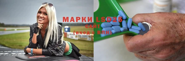 стаф Краснослободск