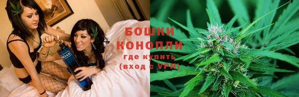 сатива Красноперекопск