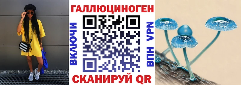 ОМГ ОМГ маркетплейс  Ленинградская  Псилоцибиновые грибы мицелий  дарнет шоп 